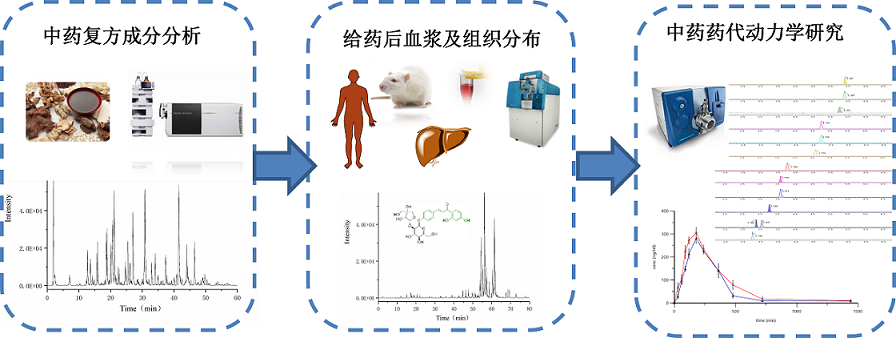 药物代谢与药代动力学服务(图1)