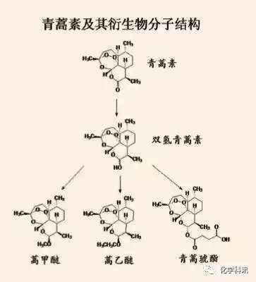 上海药物所青蒿素衍生物红斑狼疮候选新药进入II期临床(图2)