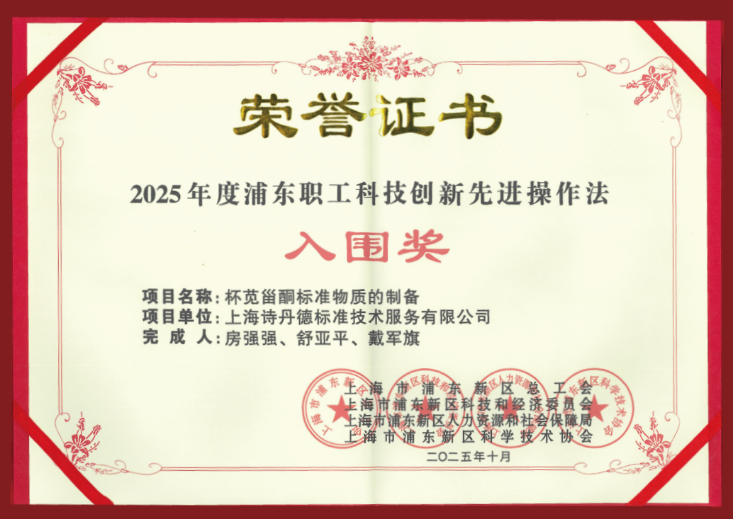 喜讯 | 诗丹德荣获2025年度浦东职工科技创新优秀项目奖(图3)