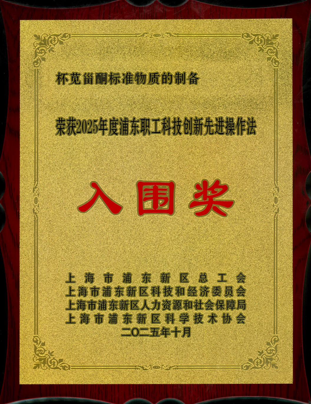 喜讯 | 诗丹德荣获2025年度浦东职工科技创新优秀项目奖(图4)
