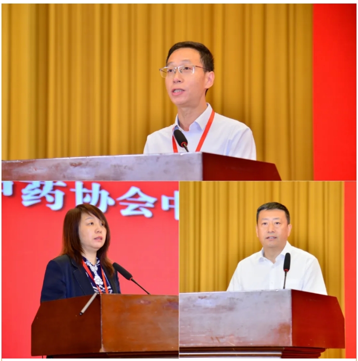诗丹德参加2026年中药质量与安全风险防控大会(图2)